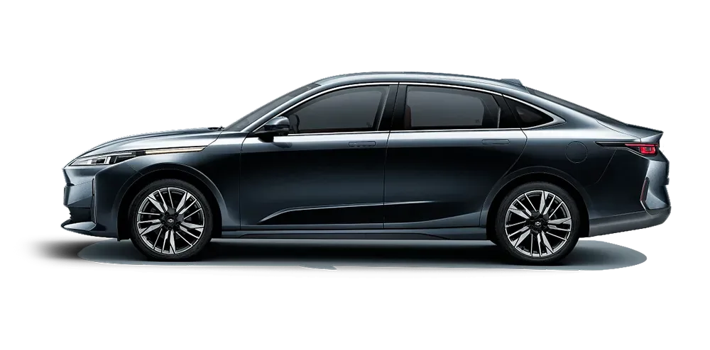 Eado Plus iDD Luxury - Gris Exterior