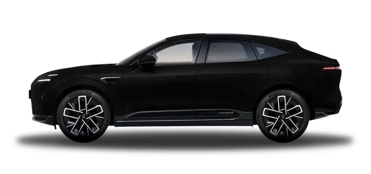 LUXURY EV - Glossy Black Exterior