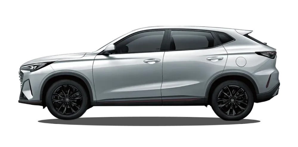 CS35 Max Comfort MT - Gris Exterior